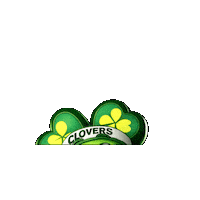 Colegioirlandesanahuac clover cia anahuac irlandes Sticker