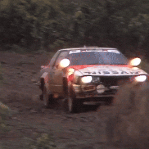 Sliding Safari Rally GIF by FIA World Rally Championship
