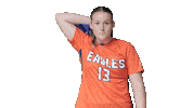 Iceland Flagwave Sticker by Carson-Newman Athletics