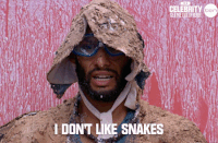 imacelebrityau GIF by I'm A Celebrity... Get Me Out Of Here! Australia