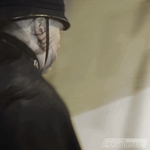 Ghost Cop GIF by Wellington Paranormal