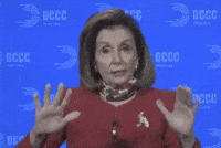 Be Patient Nancy Pelosi GIF by Election 2020