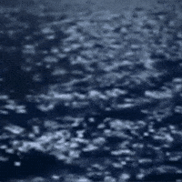 Lonely Water GIF