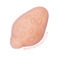 Nutriburst fun health yummy delicious Sticker