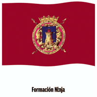 Flag Spain GIF by Formación Ninja