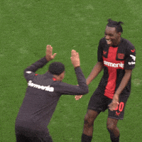 Bayer 04 Love GIF by Bayer 04 Leverkusen