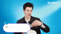 I Would Let Shawn Mendes...