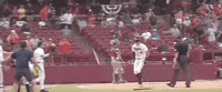 World Series Baseball GIF by NCAA Championships