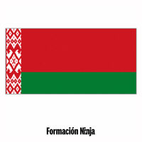 Flag Bandera GIF by Formación Ninja