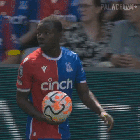 Throw In Premier League GIF by Crystal Palace Football Club