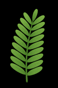 Unity Community GIF by Year Of Sustainability