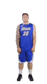 Basketball Swipe Sticker by ACSL - Austrian College Sports League