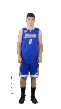Basketball Swipe Sticker by ACSL - Austrian College Sports League