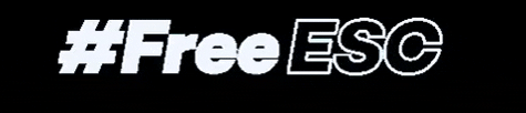 Freeesc GIF by ProSiebenSat.1