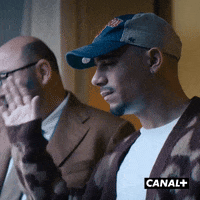 Mister V Hello GIF by CANAL+