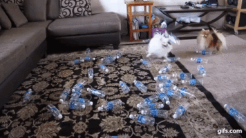 blind problems GIF