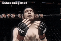 Khabib Vs Conor GIF