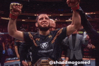 Islam Makhachev GIF