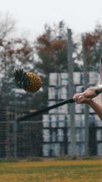 Beer Fruit GIF by Flying Dog Brewery