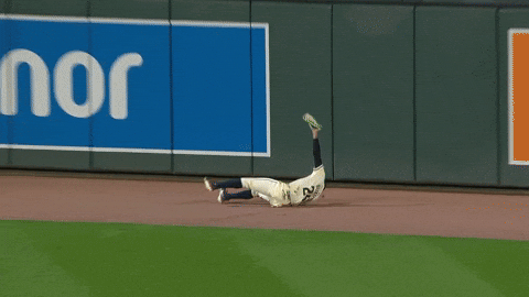Celebrate Minnesota Twins GIF by MLB