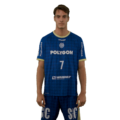 Handball Koester Sticker by DAIKIN HBL