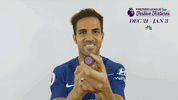 premier league GIF by NBC Sports Soccer