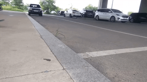 rtlumb giphyupload GIF