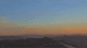 Coyote Grandaddy GIF by Dangerbird Records