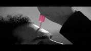 it remembers music video GIF by Epitaph Records