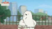 We Bare Bears Panda GIF by Cartoon Network