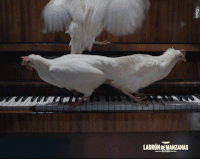 happy party GIF by Ladrón de Manzanas