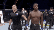 Sport Mma GIF by UFC
