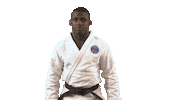 Martial Arts Fun Sticker by Paris Saint-Germain Judo