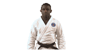 Martial Arts Fun Sticker by Paris Saint-Germain Judo
