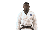 Martial Arts Fun Sticker by Paris Saint-Germain Judo