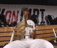 ball toss brewer GIF by Michigan Athletics
