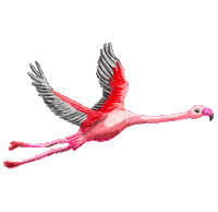 artesco_oficial peru flamingo flamenco ave Sticker