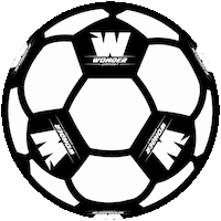 Football Sport Sticker by Wonder Unlimited
