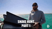 Take 2 Water GIF by Shark Week