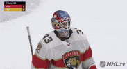 Happy Ice Hockey GIF by NHL