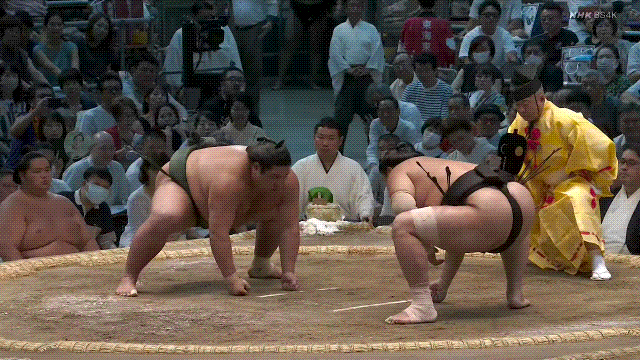 TZ85 giphyupload sumo abi 2023 nagoya basho GIF