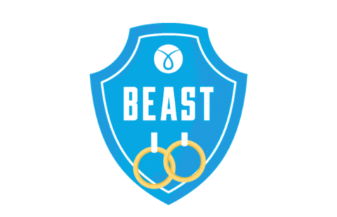 Mens Gymnastics Beast Sticker by TURN Gymnastics Apparel