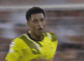 Champions League Football GIF by UEFA