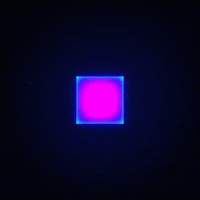 pink glow GIF by Erica Anderson