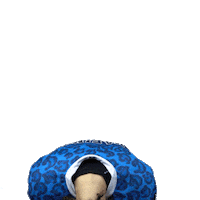 Dynamoneva Sticker by HC Dynamo Saint Petersburg