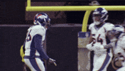 Denver Broncos Football GIF by Broncos