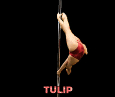 PoleDanceOnline poledance pole dance tulip pole dance online GIF