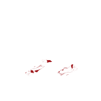 IndusInd shareyourcheer Sticker