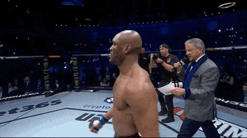 Sport GIF by UFC