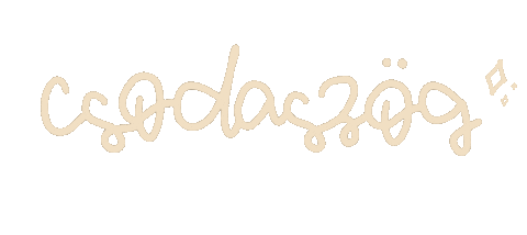Fesztival Sticker by Gombaszög